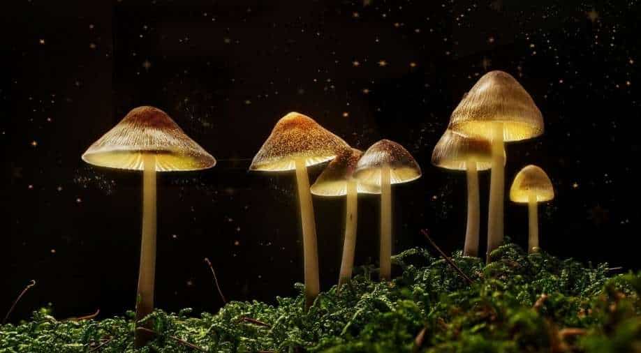 The Benefits Of Microdosing LSD - Mitos Jewellery Shop